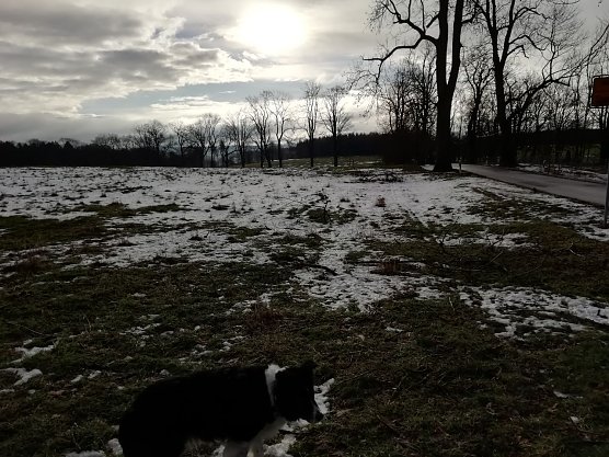 Wokenverhangen und grau zeigte sich heute morgen auch der Harz (Foto: W. Jörgens) Wokenverhangen und grau zeigte sich heute morgen auch der Harz (Foto: W. Jörgens)