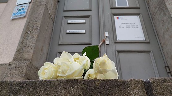 Wei&szlig;e Rosen in M&uuml;hlhausen (Foto: M&uuml;hlhausen)