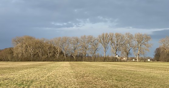 Es bleibt winterlich kalt (Foto: oas)