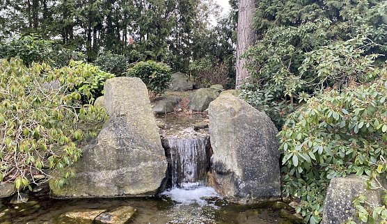 Im Japanischen Garten Bad Langensalza (Foto: oas) Im Japanischen Garten Bad Langensalza (Foto: oas)