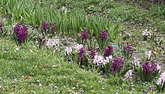 Heute und morgen noch mild, dann wi3der k&uuml;hler (Foto: oas)