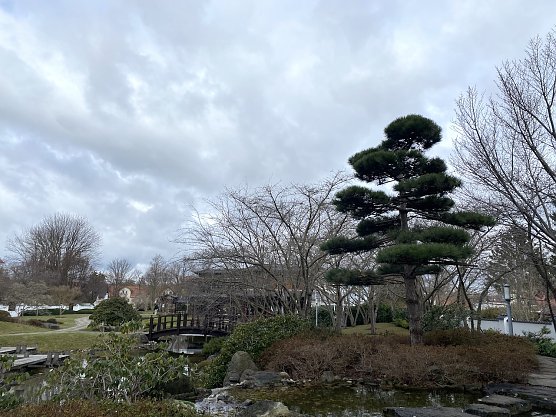 St&uuml;rmisches Wetter auch im Japanischen Garten Bad Langensalzas (Foto: oas)