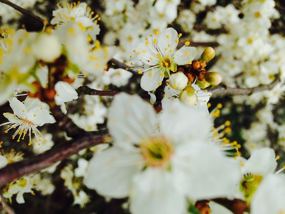Wetterbild (Foto: nnz) Wetterbild (Foto: nnz)