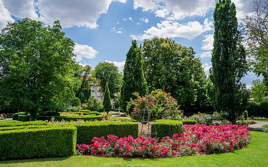 Rosengarten (Foto: KTL)
