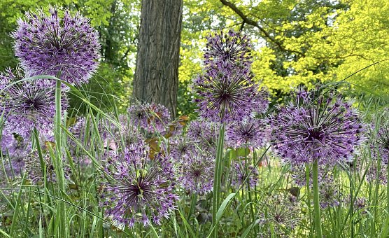 Ungebremstes Super-Pfingstwetter in den nächsten Tagen (Foto: Eva Maria Wiegand) Ungebremstes Super-Pfingstwetter in den nächsten Tagen (Foto: Eva Maria Wiegand)