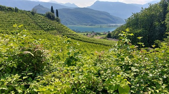 S&uuml;dtirol, frei von Windr&auml;dern (Foto: privat)