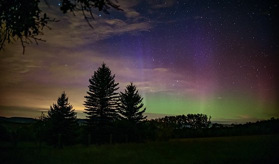Polarlichter &uuml;ber Rehungen (Foto: Evelin Krahl)