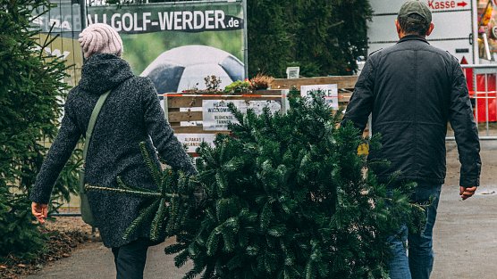Weihnachtsbaumkauf wird teurer (Foto: ICH&ER Media) Weihnachtsbaumkauf wird teurer (Foto: ICH&ER Media)
