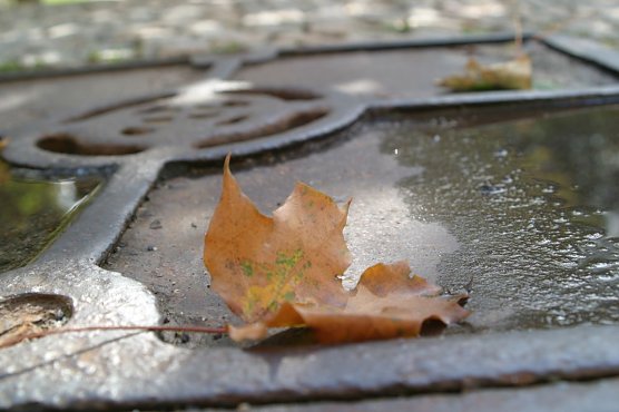 Wetterbild (Foto: nnz)