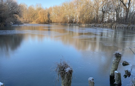 Erste Nachtfr&ouml;ste werden erwartet (Foto: oas)