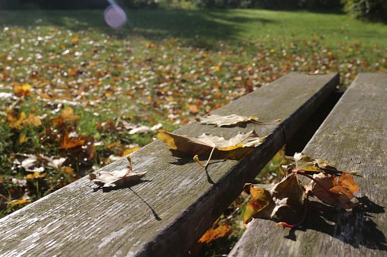 Wetterbild (Foto: agl)