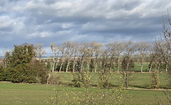 Kühle Temperaturen sind ab morgen angesagt (Foto: oas) Kühle Temperaturen sind ab morgen angesagt (Foto: oas)