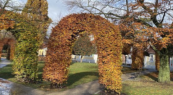Verabschiedet sich der Herbst schon? (Foto: oas)