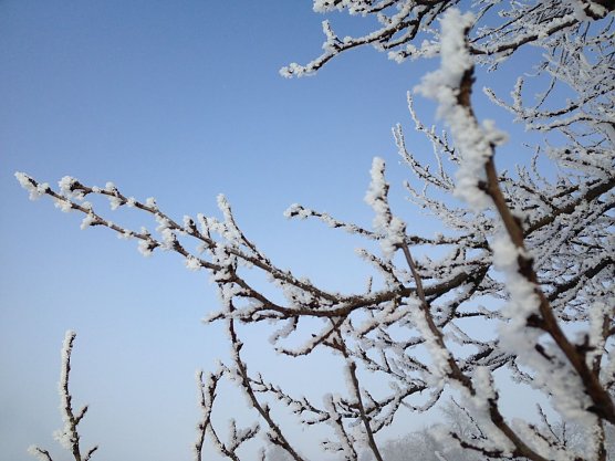Wetterbild (Foto: nnz)