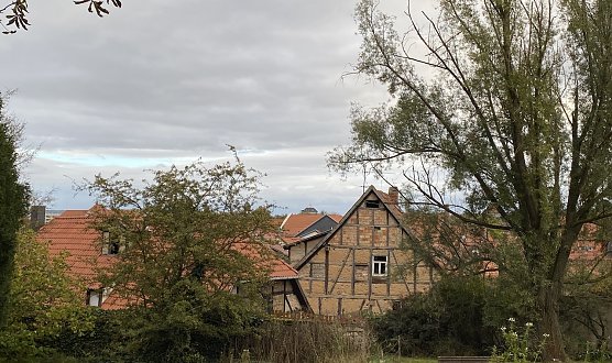 Weiterhin mildes Wetter in Aussicht (Foto: oas)