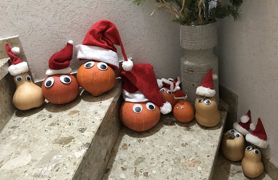 Voller Ungeduld fiebern wir dem Weihnachtsfest entgegen (Foto: Sabine K&uuml;mmerling)