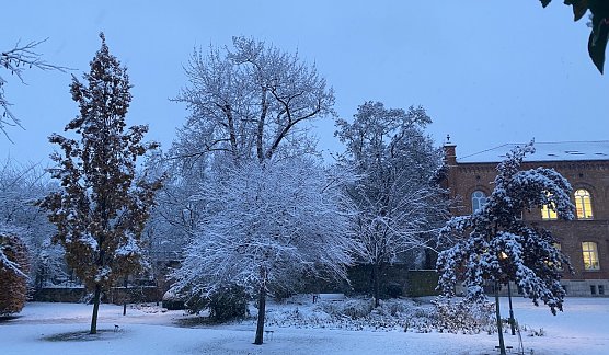 Der Winter kehrt zur&uuml;ck. bringt er auch wieder Schnee? (Foto: oas)