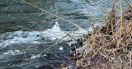 An der Zorge bl&uuml;hen die Eisblumen (Foto: Peter Blei)