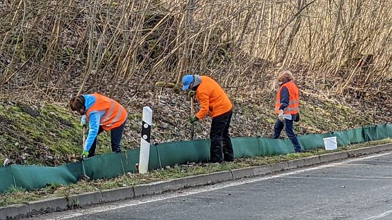 Kr&ouml;tenrettung am Stra&szlig;enrand bei Bad Langensalza (Foto: BUND Bad Langensalza)