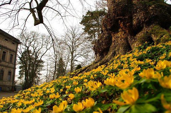 Wetterbild (Foto: agl) Wetterbild (Foto: agl)