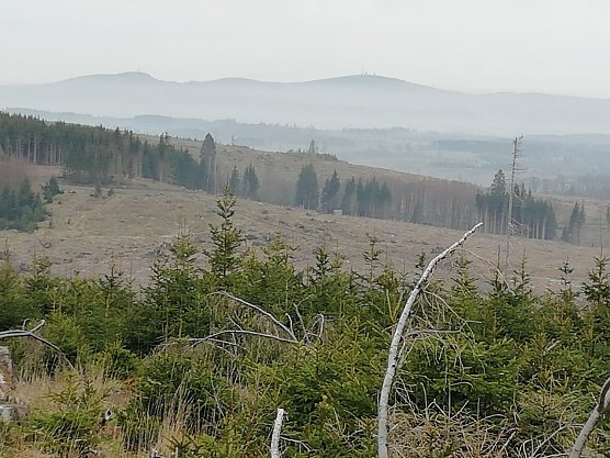 Der Brocken und Wurmberg im Hintergrund, Fr&uuml;hnebel bei 10 Grad (Foto: W. J&ouml;rgens)