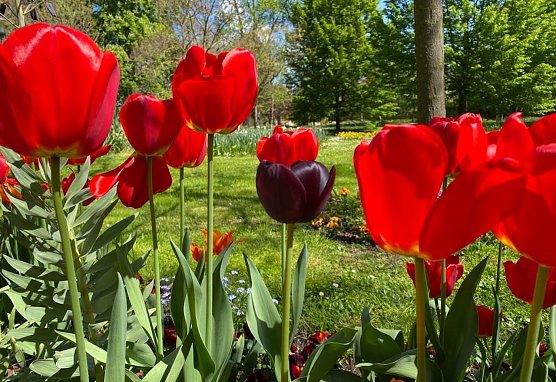Wetter (Foto: Eva Maria Wiegand)