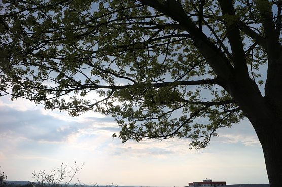 Wetterbild (Foto: agl)