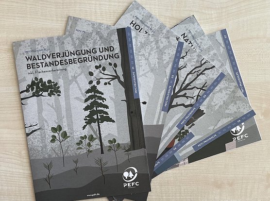 Mit neuen und &uuml;bersichtlichen Materialien erleichtert die Waldschutzorganisation PEFC den Waldbesitzenden den Einstieg in die -in Zeiten des Klimawandels- immer wichtiger werdende Zertifizierungswelt (Foto: PEFC/ Ina S&auml;nger)