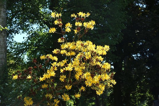 Wetterbild (Foto: agl)