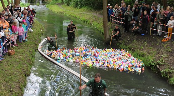 Startschuss zum Entenrennen 2024 (Foto: oas) Startschuss zum Entenrennen 2024 (Foto: oas)