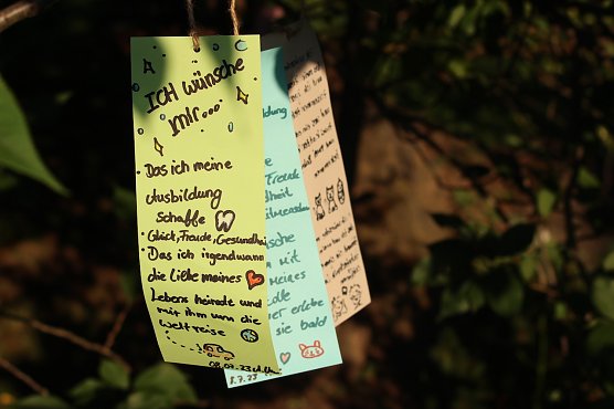 TANABATA 2023 in Japanischen Garten in Bad Langensalza (Foto: Eva Maria Wiegand)