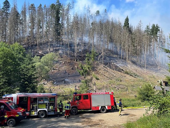 Vor wenigen Tagen brannte ein knapp fu&szlig;ballfeldgro&szlig;es Hangwaldst&uuml;ck im Revier Meura des Forstamtes Gehren. Die Feuerwehr war schnell vor Ort (Foto: Niklas Singer)