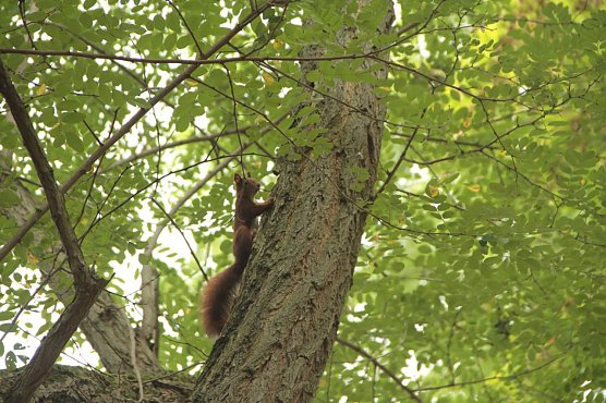 Wetterbild (Foto: agl) Wetterbild (Foto: agl)