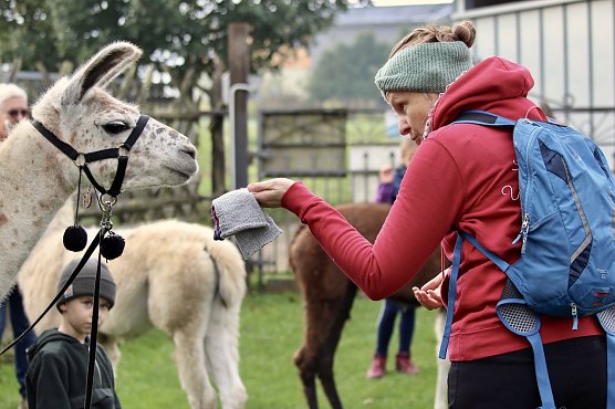 Eine gro&szlig;e Vertrautheit herrscht zwischen Alina Kroll und ihren Tieren auf dem Lamahof "Unstrut Lamas" in Herbsleben (Foto: Eva Maria Wiegand)