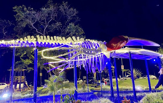 Walskelett eines gestrandeten Wals in Ubatuba (Brasilien) (Foto: Moritz B. Wiegand)