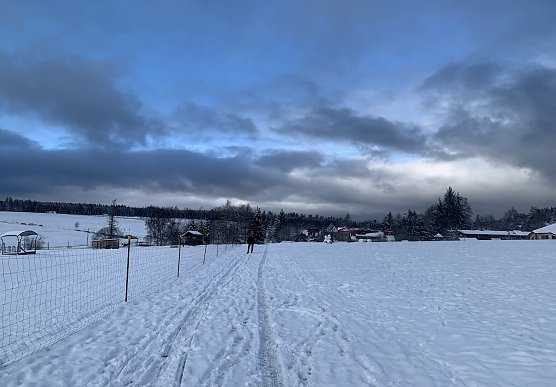 Symbolbild Schnee (Foto: Eva Maria Wiegand)