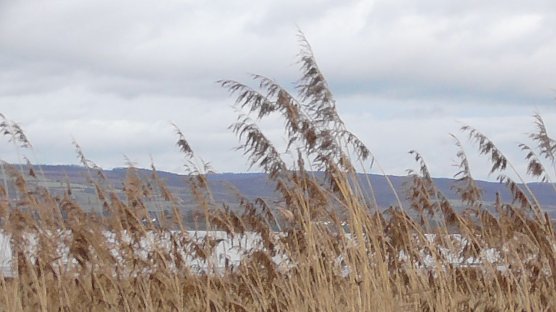 Wetterbild (Foto: Ulrich Reinboth) Wetterbild (Foto: Ulrich Reinboth)