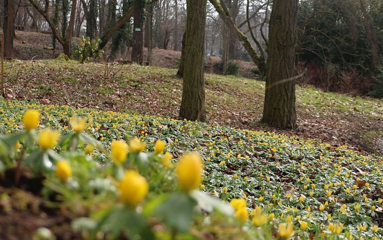 Wetterbild (Foto: agl)