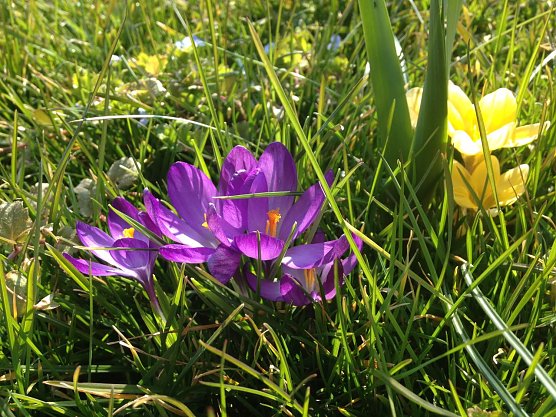 Wetterbild (Foto: agl) Wetterbild (Foto: agl)