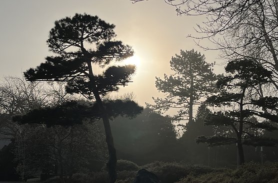 Auch die zweite M&auml;rzh&auml;lfte wartet mit Nachtfr&ouml;sten auf (Foto: oas)