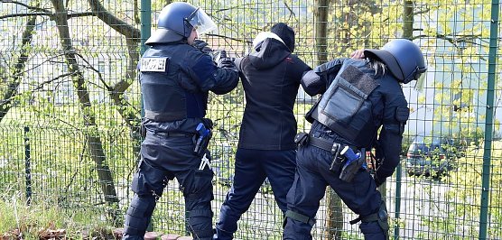 Polizeibeamte bei einer Festnahme (Foto: LPI)