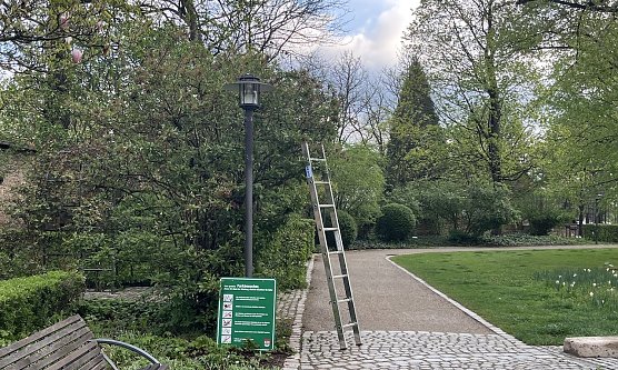 Weitere heute montierte Hinweisschilder werden das Problem nicht l&ouml;sen (Foto: oas)