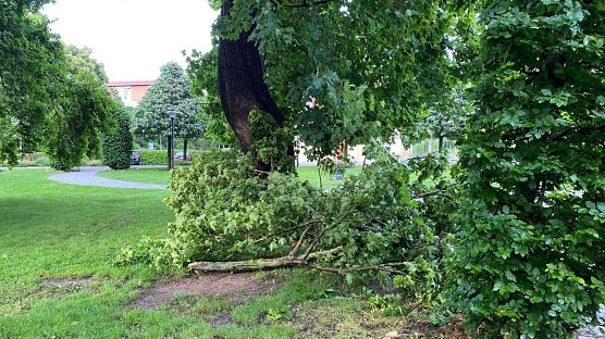 Der Sturm der letzten Tage richtete einige Schäden an (Foto: emw) Der Sturm der letzten Tage richtete einige Schäden an (Foto: emw)