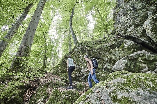 Wer wandert denn so gerne? (Foto: ADAC) Wer wandert denn so gerne? (Foto: ADAC)