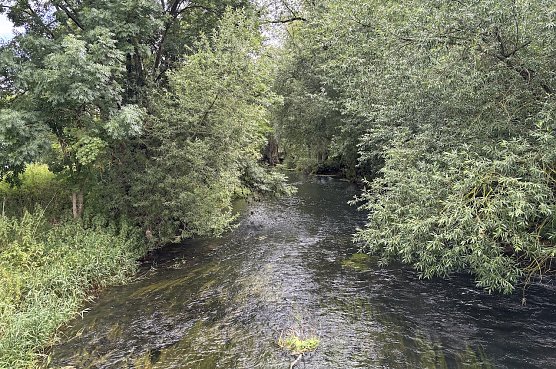 Im Unstrut-Tal (Foto: oas) Im Unstrut-Tal (Foto: oas)