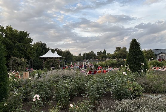 Rosengarten Bad Langensalza (Foto: oas)