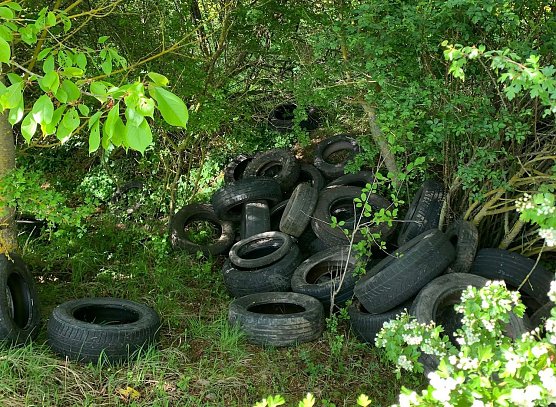 Ein Reifenhaufen entlang eines st&auml;dtischen Wanderwegs (Foto: privat)