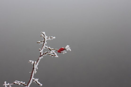 Wetterbild (Foto: agl)