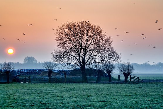 Wetterbild (Foto: pixabay.com)