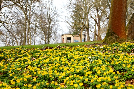Wetterbild (Foto: agl) Wetterbild (Foto: agl)